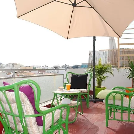 Marine Freestyler Glorious Terrace *