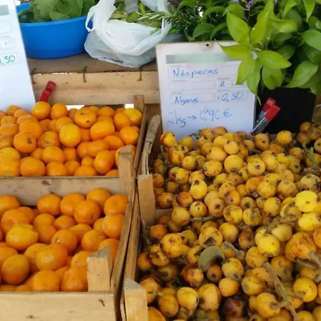 Marine Freestyler Glorious Terrace *