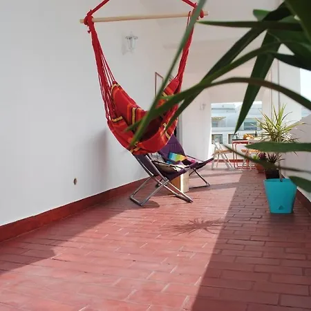 Marine Freestyler Glorious Terrace