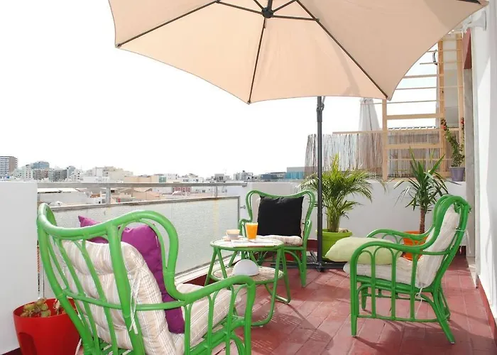 Marine Freestyler Glorious Terrace *