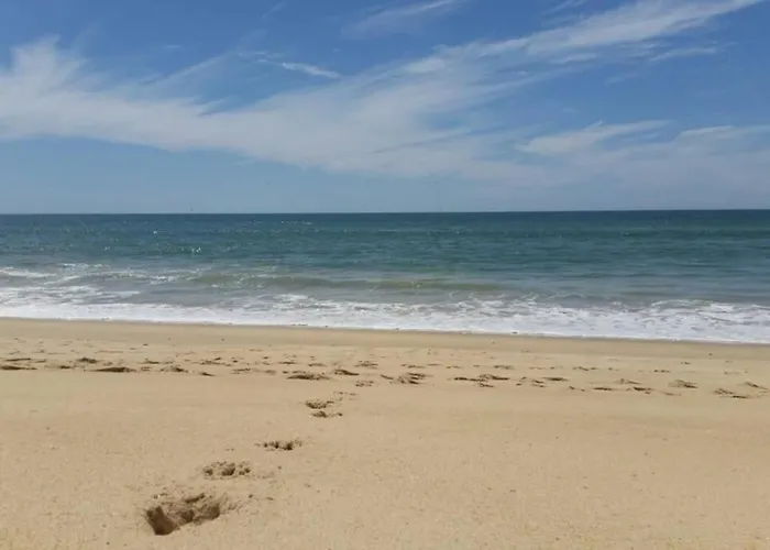 Appartement Marine Freestyler Glorious Terrace District de Faro