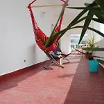 Marine Freestyler Glorious Terrace